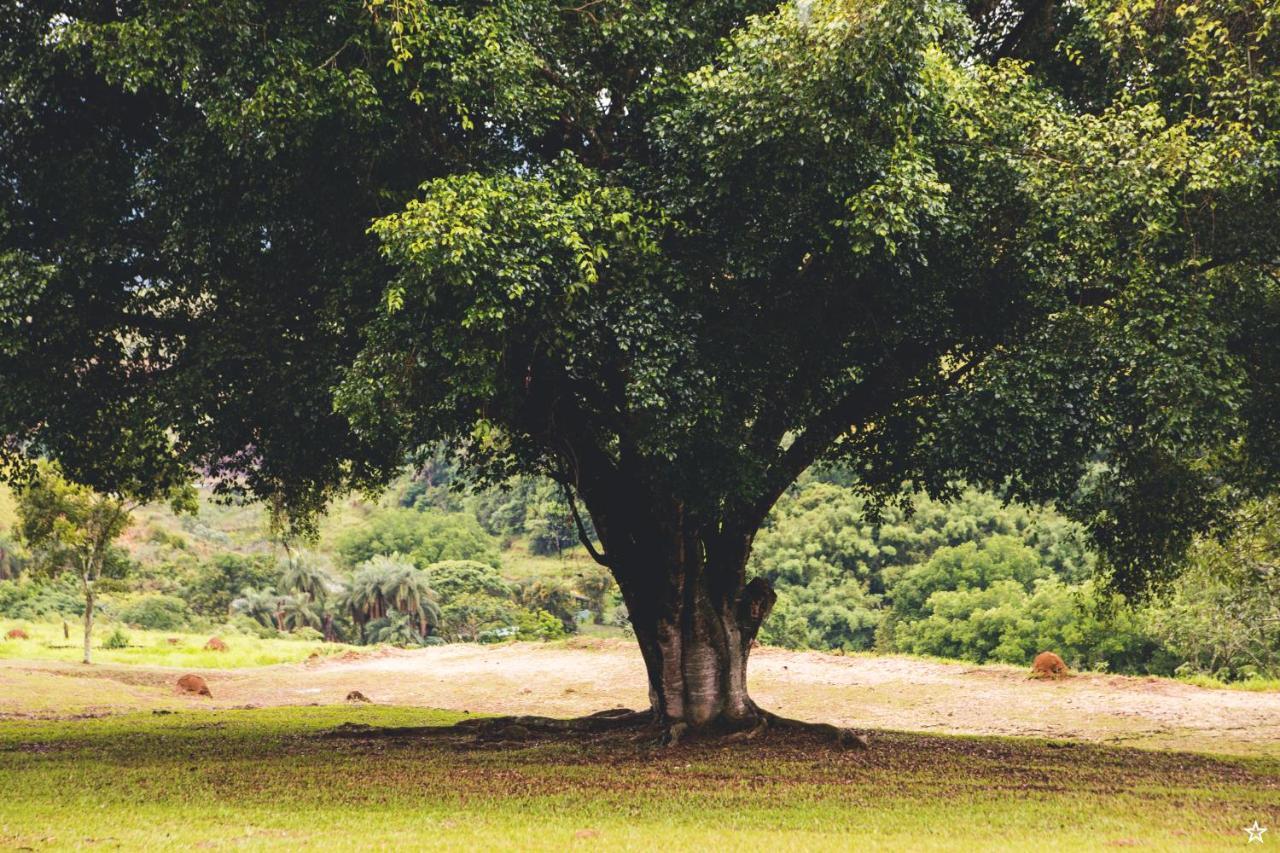 Pousada E Espaco Flor Da Serra Cruzeiro  Kültér fotó